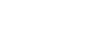 ICSO Logo